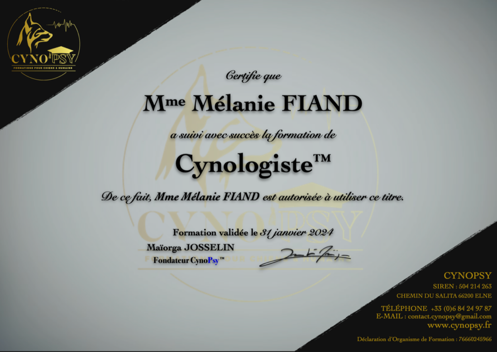 Diplôme Cynologiste